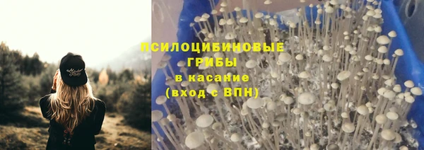 марки nbome Чекалин