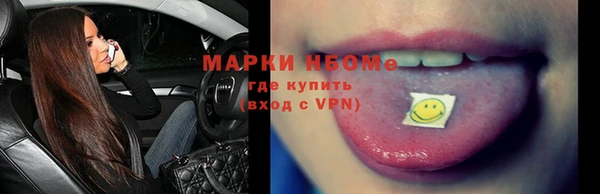 крисы Чердынь