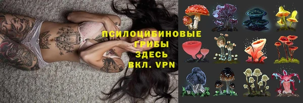 каннабис Гусев
