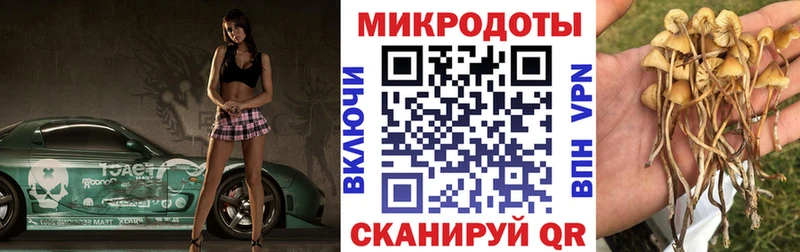 Галлюциногенные грибы прущие грибы  Малмыж 