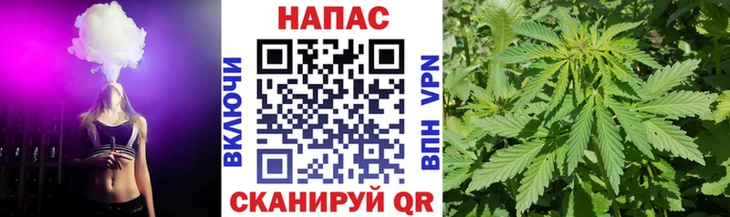Бошки Шишки THC 21%  ОМГ ОМГ как войти  Малмыж 